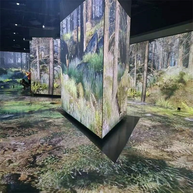 探索鳥類王國，看創(chuàng)意光影下的飛羽之美